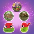 TMNT MiraBall Blind
