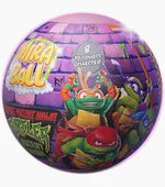 TMNT MiraBall Blind